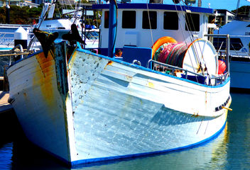 Colours in Robe Marina South Australia # dailyshoot - Kostenloses image #324599